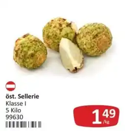 Kastner öst. Sellerie Angebot