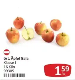 Kastner öst. Äpfel Gala Angebot