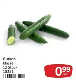 Kastner Gurken Klasse I Angebot