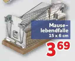 Center Shop Mauselebendfalle Angebot