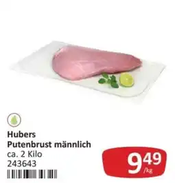 Kastner Hubers Putenbrust männlich Angebot