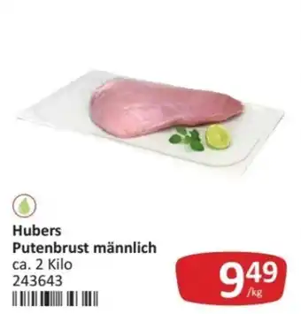 Hubers Putenbrust männlich