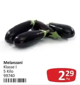 Kastner Melanzani Klasse I Angebot