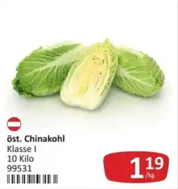 Kastner öst. Chinakohl Angebot