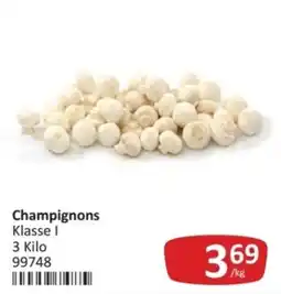 Kastner Champignons Klasse I Angebot