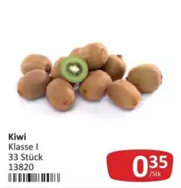 Kastner Kiwi Klasse I Angebot