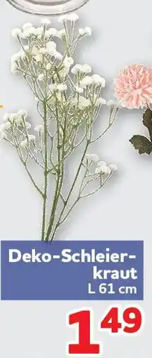 Center Shop Deko-Schleierkraut Angebot