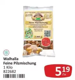 Kastner Walhalla Feine Pilzmischung Angebot