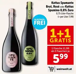 Interspar Kattus Spumante Angebot