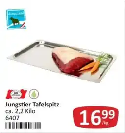 Kastner Jungstier Tafelspitz Angebot