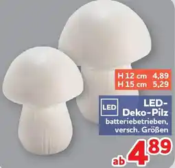 Center Shop LED-Deko-Pilz Angebot