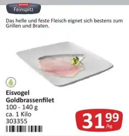 Kastner Eisvogel Goldbrassenfilet Angebot