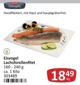 Kastner Eisvogel Lachsforellenfilet Angebot