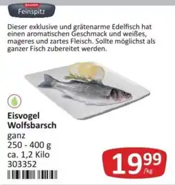 Kastner Feinspitz Eisvogel Wolfsbarsch Angebot