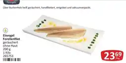 Kastner Eisvogel Forellenfilet Angebot