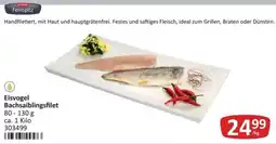 Kastner Feinspitz Eisvogel Bachsaiblingsfilet Angebot