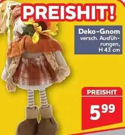 Center Shop Deko-Gnom Angebot