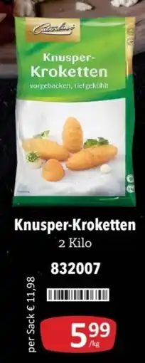 Kastner Caterlino Knusper-Kroketten Angebot