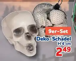 Center Shop Deko-Schädel Angebot