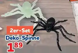 Center Shop Deko-Spinne Angebot