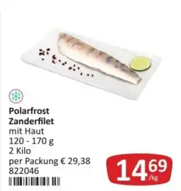 Kastner Polarfrost Zanderfilet Angebot