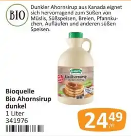 Kastner Bioquelle Bio Ahornsirup dunkel Angebot