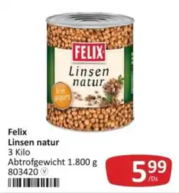 Kastner Felix Linsen natur Angebot