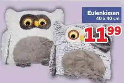 Center Shop Eulenkissen Angebot