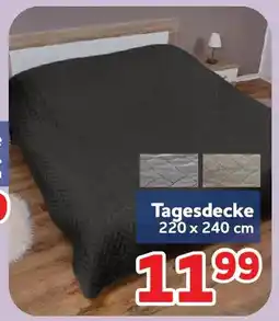 Center Shop Tagesdecke Angebot