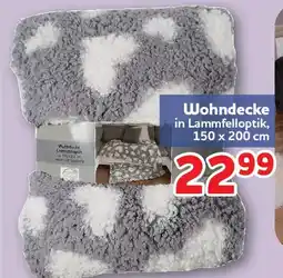 Center Shop Wohndecke Angebot