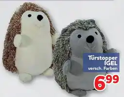 Center Shop Türstopper Igel Angebot