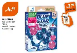 Müller Blue Star WC Steine Angebot