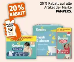 Müller Pampers Angebot