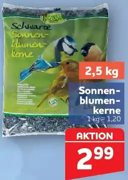 Center Shop Schwarze Sonnenblumenkerne Angebot