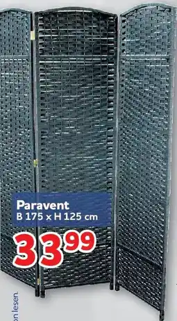 Center Shop Paravent Angebot