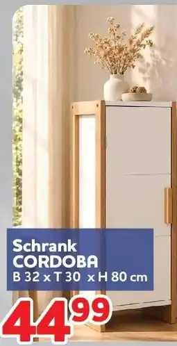 Center Shop Schrank CORDOBA Angebot