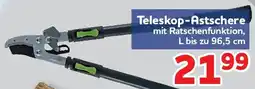Center Shop Teleskop-Astschere Angebot