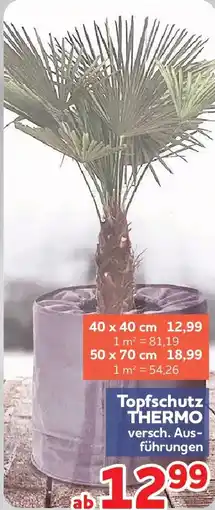 Center Shop Topfschutz THERMO Angebot