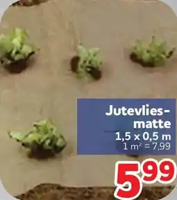 Center Shop Jutevliesmatte Angebot