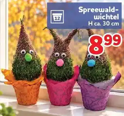 Center Shop Spreewaldwichtel Angebot