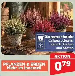 Center Shop Sommerheide Angebot