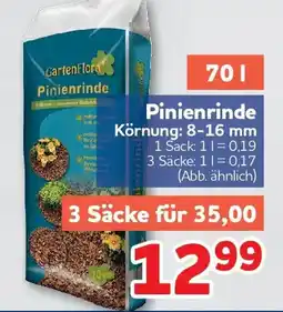 Center Shop CartenFlora Pinienrinde Angebot