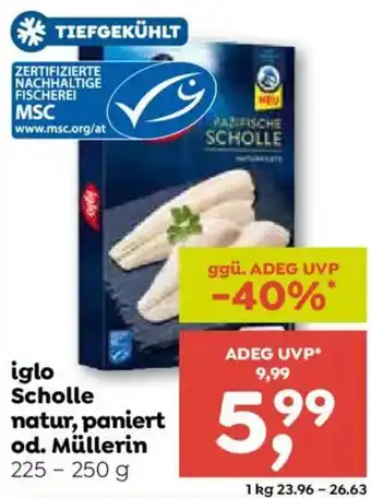 Iglo Scholle natur, paniert od. Müllerin