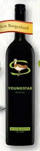 SPAR Gourmet Weingut Scheiblhofer Youngstar Angebot
