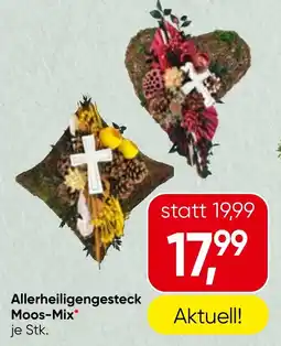 Spar Allerheiligengesteck Moos-Mix Angebot