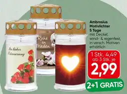 Spar Ambrosius Motivlichter Angebot