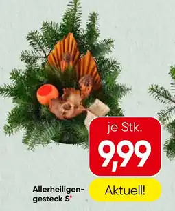 Spar Allerheiligen-gesteck S* Angebot