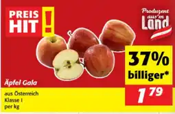 Nah&Frisch Äpfel Gala Angebot