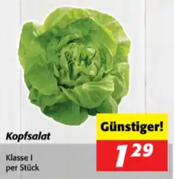 Nah&Frisch Kopfsalat Angebot