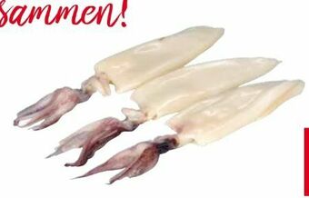 Transgourmet Tintenfisch Geputzt Angebot